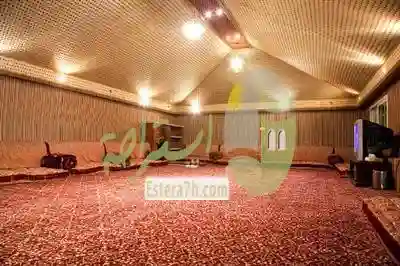 زهرة الياسمين